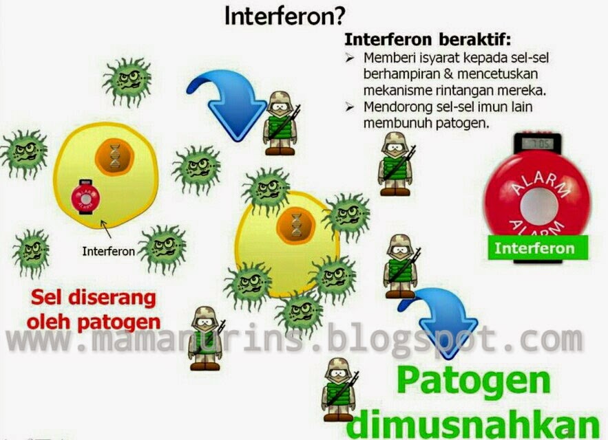 Ubat Sakit Tekak Kerana Batuk - Pertanyaan s