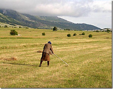 Agricultural-policies-in-South-East-Europe-which-ones_large