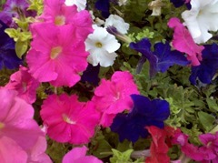 IMG_19700408_200020