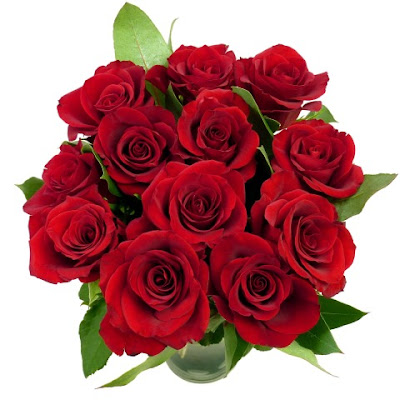  Dozen Red Valentine's Roses