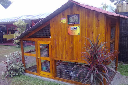 Cara Buat Reban Ayam : PEMBEKAL AYAM KAMPUNG JOHOR: LATAR BELAKANG PERUSAHAN - Resep cara membuat nugget ayam, salah satu lauk pauk simpel yang begitu digemari.