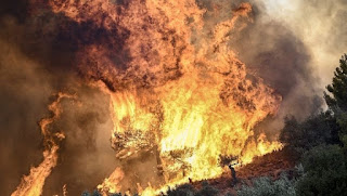 Des incendies en Grèce