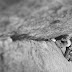 Crack Climbing in Vedauwoo, WY