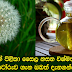 පැය 48 න් පිළිකා ෙසෙල නසන විශ්මිත ඛෙහෙත් වට්ටෝරුව ගැන ඔබත් දැනගන්න. 