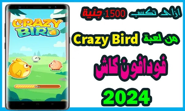 الربح  من لعبة  CrazyBird,شرح لعبة CrazyBird