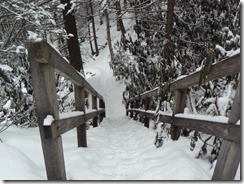 And navigate steps!!!!  (Yes, I got down these steep steps w/o taking off my snowshoes!)