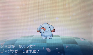 色違いゲコガシラ そして色違いゲッコウガへ進化 ふみの色違いポケモンブログ