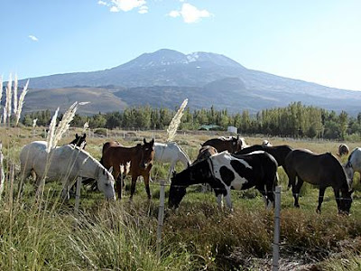 El norte propone "Sendero entre volcanes"