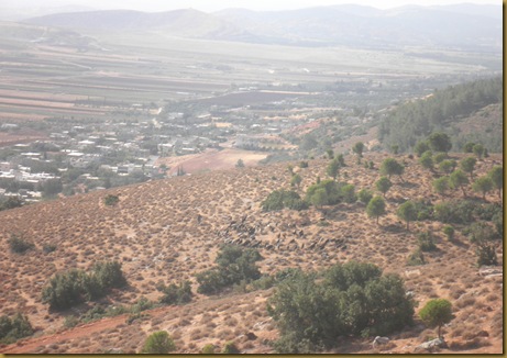 Syria 9 029