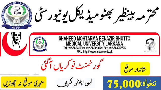 Shaheed Mohtarma Benazir Bhutto Medical University Jobs 2024