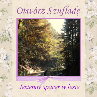 http://szuflada-szuflada.blogspot.com/2015/11/otworz-szuflade-jesienny-spacer-w-lesie.html