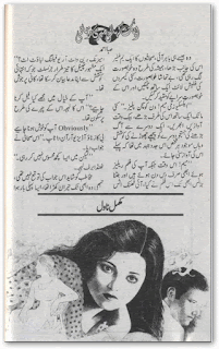 Aik Kahani Meri Zubani by Saba Ahmed Online Reading