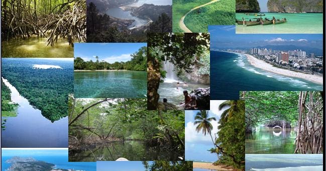 Hermosos Ecosistemas del Tierra ECOSISTEMAS ACUÁTICOS
