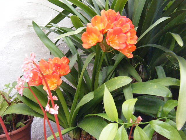 2011_04050170.JPG