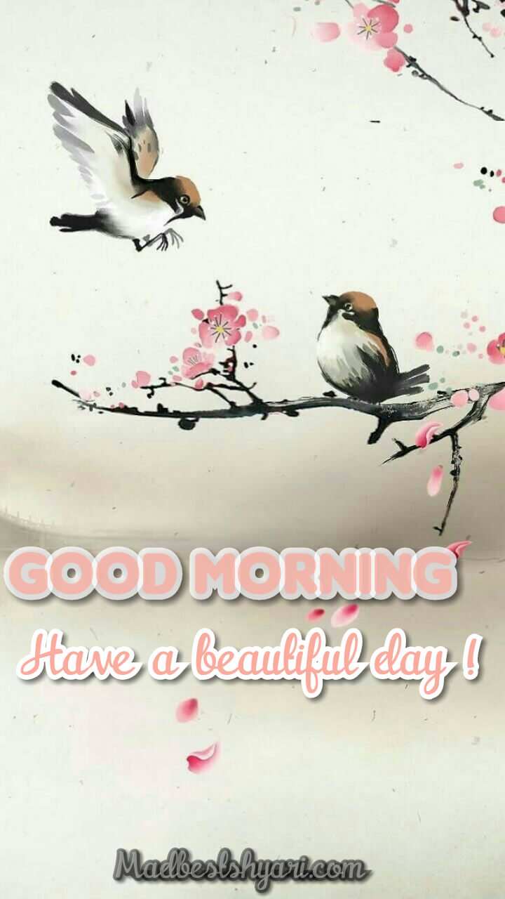 good morning images With Bird