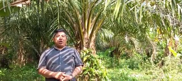 Rudi, Petani Sawit Warga Nagori Pengkolan Kecamatan Bosar Maligas Kabupaten Simalungun Apresiasi Kebijakan Bapak Presiden RI