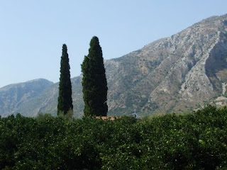 the orange orchard, cypress trees (which are usually planted near churches and cemeteries), and the mountains