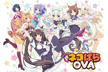 Pengertian OVA, OAD, dan ONA di Anime
