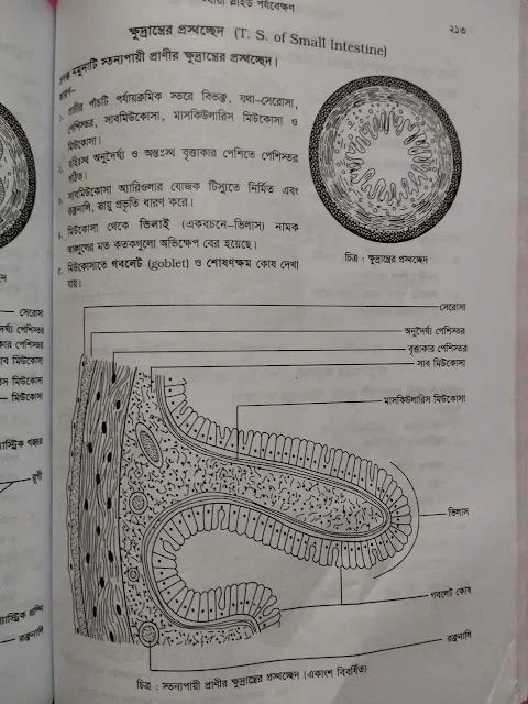 Biology 2nd paper practical HSC 2023, HSC 2023 Biology 2nd paper practical solution pdf, HSC 2023 Biology 2nd paper practical pdf