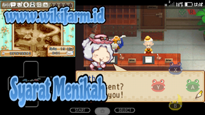 Panduan Harvest Moon: Grand Bazaar Terlengkap