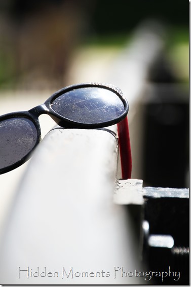 Day 109 - Lost Shades