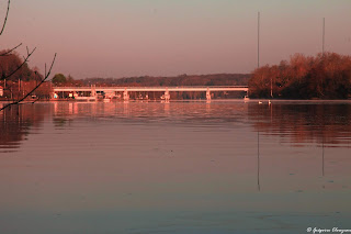 Bord de Seine, Dammarie les Lys 77