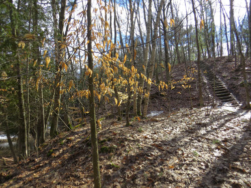 Pere Marquette River