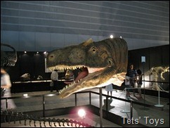 IMG_5109