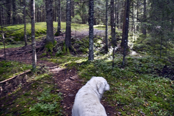 Spenningsbygruv Bergsgruva Ramndalskollen