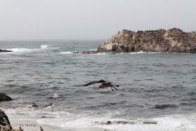 17-Mile Drive