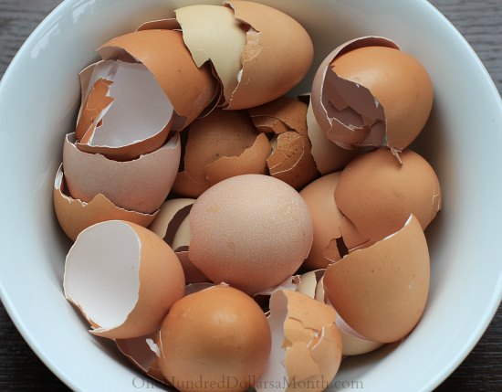  Cangkang Telur  Dapat Digunakan Memutihkan Baju BEGINI 