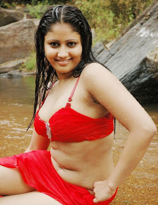 Amruthavalli hot wet stills