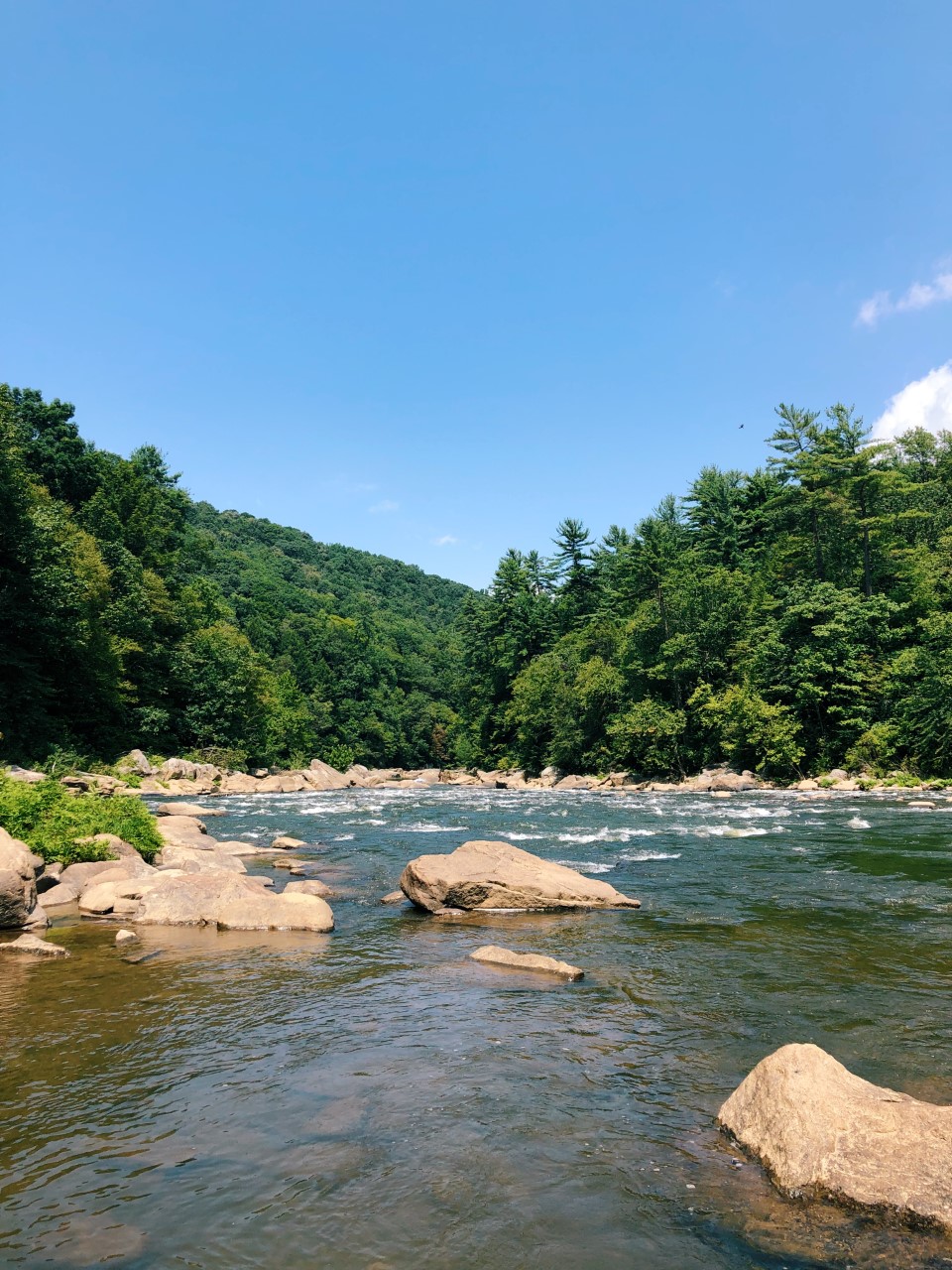 Summer Road Trip: Fallingwater + Ohiopyle State Park | Organized Mess