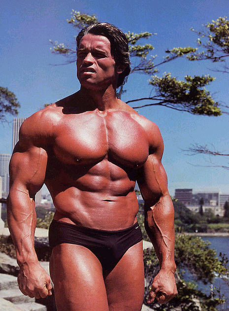 arnold schwarzenegger now and before. arnold schwarzenegger now and