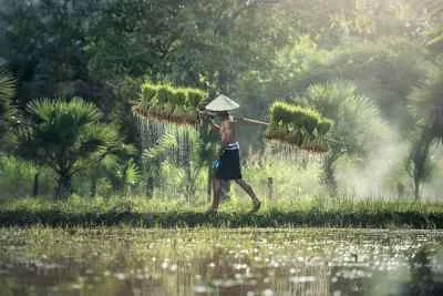 মূল্য-বিপ্লব