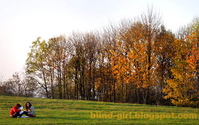 Fall trees