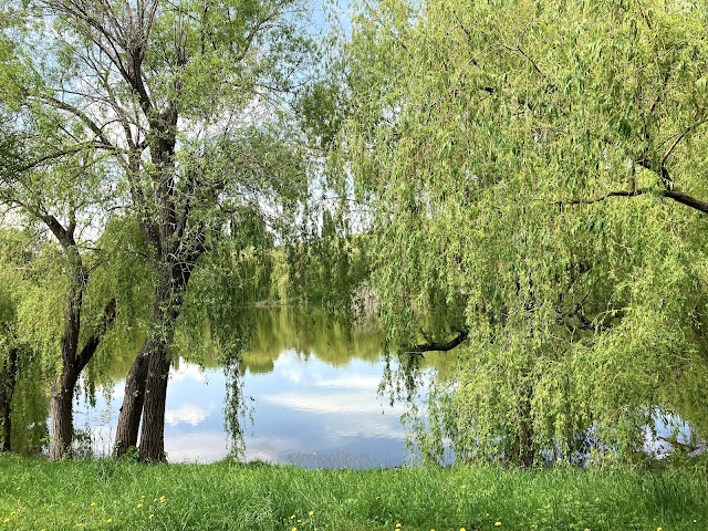 Der Große Teich in Wien Laaerberg Park