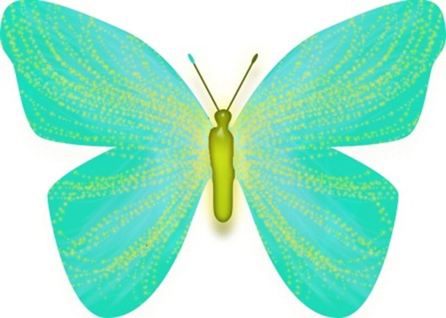 butterfly 4 WEB