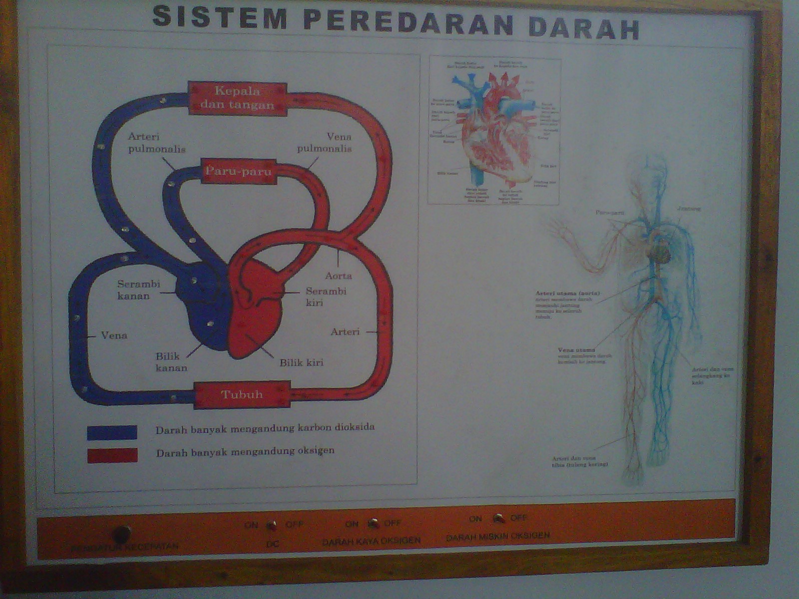 Kumpulan Skripsi Model Pembelajaran Ips Contoh Skripsi 