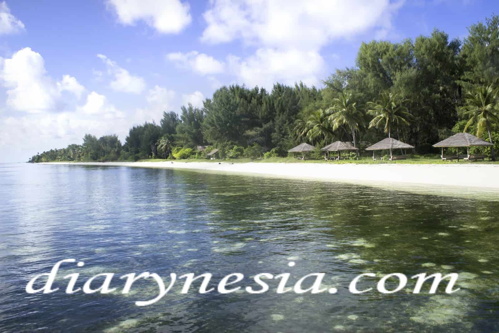 wakatobi tourism, South East Sulawesi, Wakatobi tourist attraction, diarynesia
