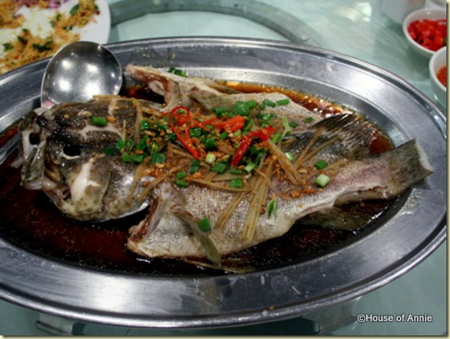 steamed grouper rock road seafood