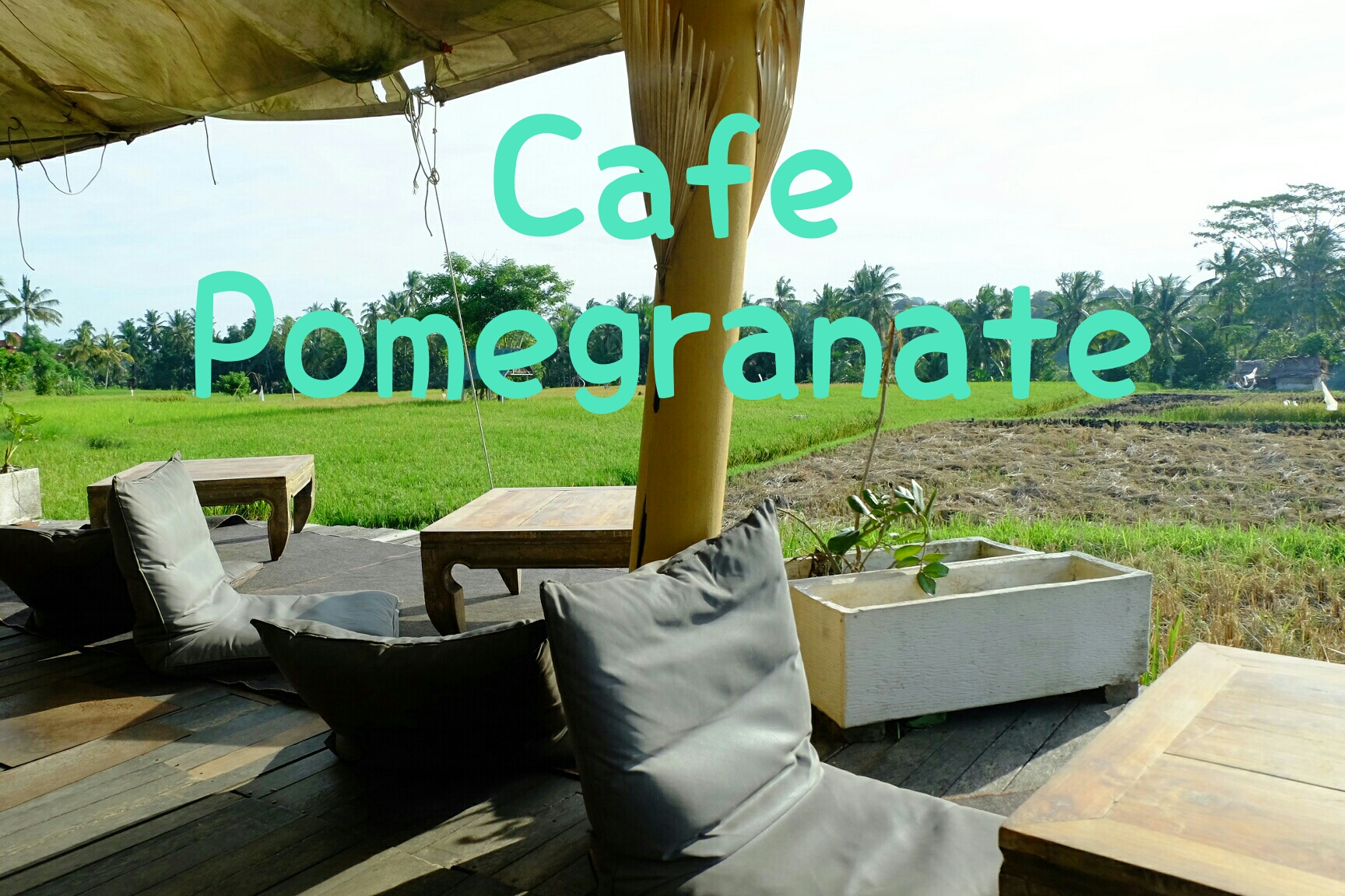 cafe pomegranate ubud