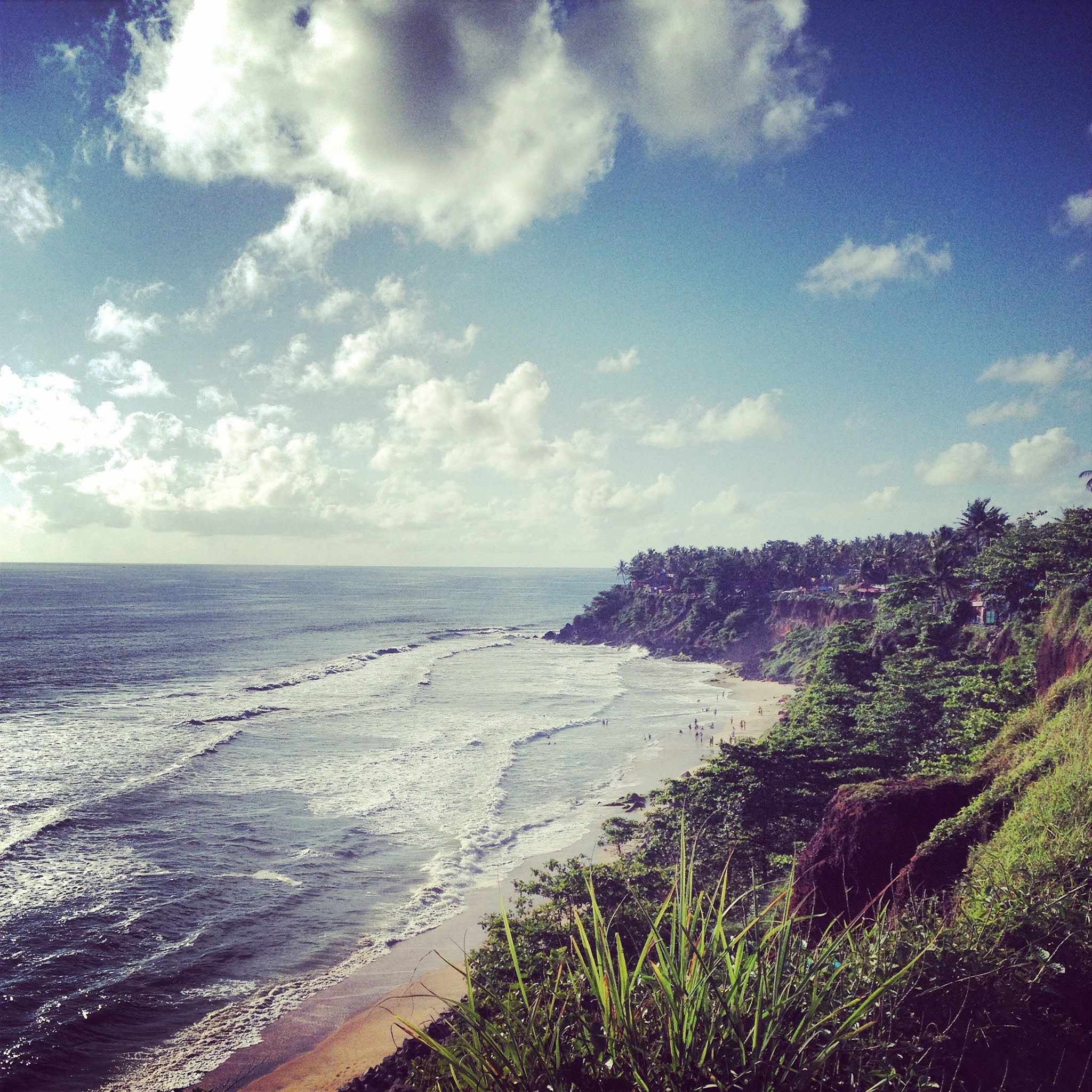 cliffs and ocean with palm trees in varkala southern india