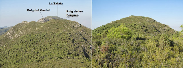 TOT TRAVESSANT LA SERRA DEL MONTMELL (De Mas d'en Bosc al Coll d'Arca), Puig de les Forques a la Serra del Montmell