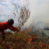 Marak Kasus Kebakaran Lahan di Tol Lampung, Penyebabnya Ulah Manusia