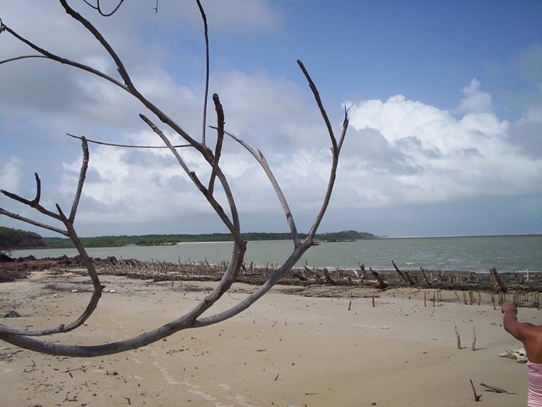 Praia de Outeiro - Cedral, Maranhao, foto: Israel Gonçalves/Panoramio