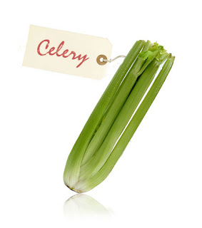 does celery burn calories