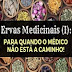 Ervas Medicinais I: Para quando o Médico Não Está a Caminho!
