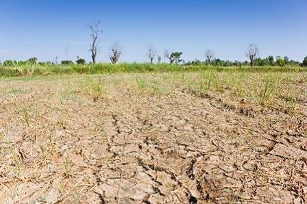 Need for sustainable solution: Environment, rural agriculture and food security affected by electronic waste pollution of streams and Sakubva River