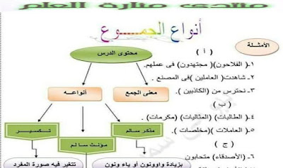 قواعد بسيطة للغة العربية في الجمع والمثنى